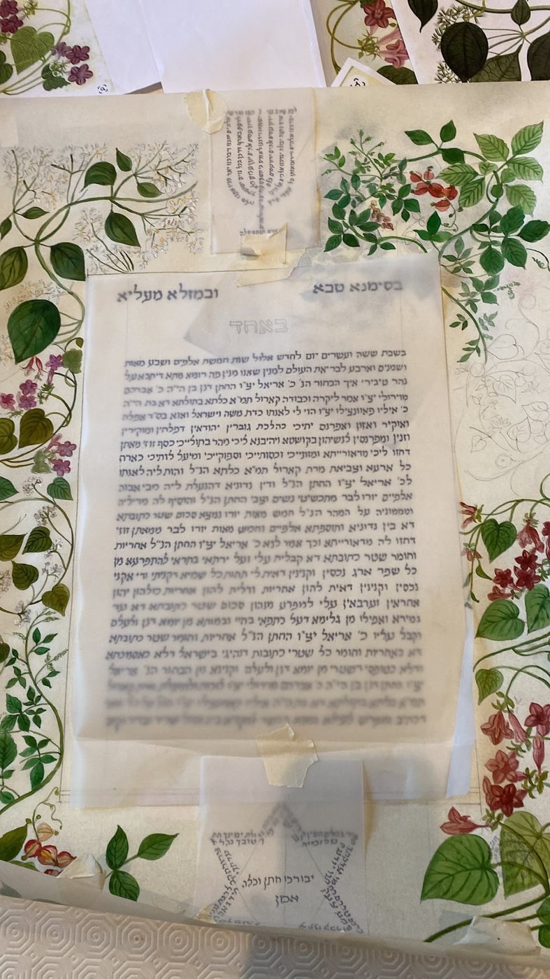 La fase preparatoria documenta l’impostazione della pagina e il dialogo tra i rami botanici e i campi riservati alla scrittura e alle figure micrografiche.